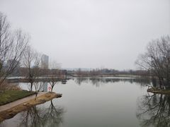 -洋湖国家湿地公园