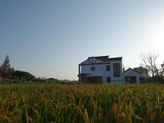 -MUSEO COFFEE咖啡博物馆
