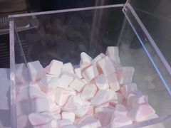-狐狸和向日葵(北京路店)