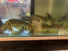 -泰华海鲜中餐厅(普吉镇店)