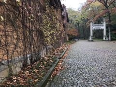 -灵谷景区