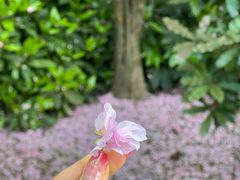 -环城公园-琥珀潭