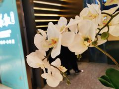 -青花椒花椒鱼(合生汇店)