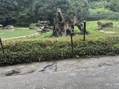 -杭州野生动物世界