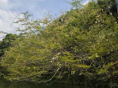 -水濂山森林公园