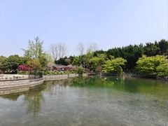 -嘉定紫藤园