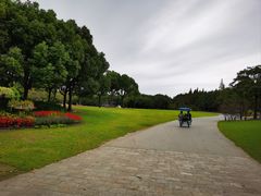 -上海滨江森林公园