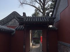 -泰山风景名胜区-普照寺