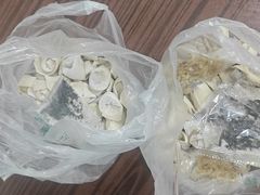 -白锦记手工水饺坊(武圣路店)