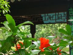 -枫桥景区