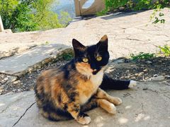 -青州市云门山风景区