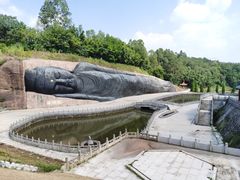 -三水森林公园