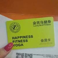-金吉鸟健身游泳