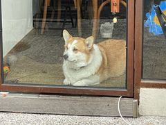 -肥朵食堂(带梦胡同店)
