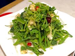 凉拌丝瓜尖-蛙蛙叫干锅年代(簋街总店)