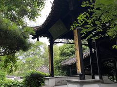 -扬州大运河文化旅游度假区·盆景园