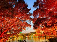 -桂林两江四湖景区