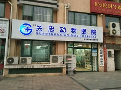 医院采风-瑞派·关忠动物医院·猫专科·犬专科(三环新城店)