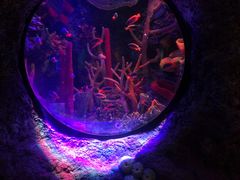 -沈阳海洋探索中心