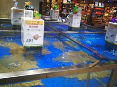 -盒马鲜生(财富中心店)