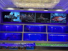 -集品堂·JPC餐厅(青年大街市府店)