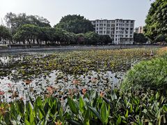 -广西大学(大学东路校区)