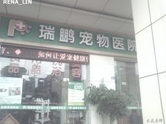 -瑞鹏宠物医院·骨科·猫科·内科(第一中心)