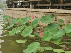 -朱仙镇启封故园景区