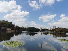 -荔枝公园(福田区)