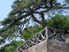 -北京西山国家森林公园