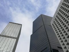 -Big Bus Tours 敞篷观光巴士