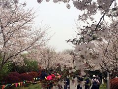 -尚贤河湿地