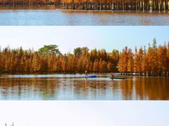 -白鹭湾湿地公园