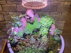 -鸢飞潍坊菜馆(鸢飞大酒店)