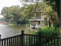 -荔湾湖公园