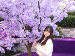 -龙湖南京江北天街