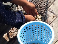 -海上驿站渔家菜馆