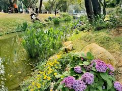 -人民公园(罗湖区)