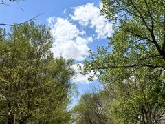 -长白岛森林公园