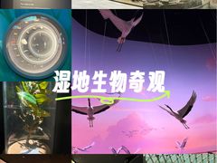 -中国湿地博物馆