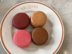-Angelina(老佛爷店)