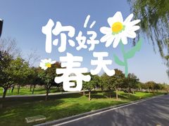-洨河生态公园