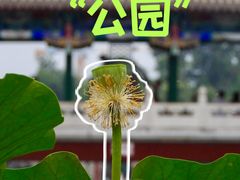 -西海子公园