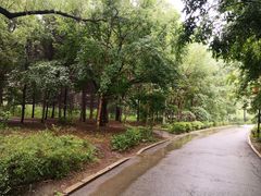 -长春市南湖公园