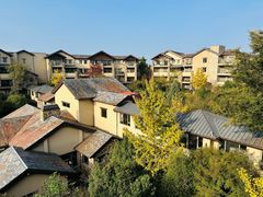 -浙江安吉JW万豪酒店·万豪中餐厅