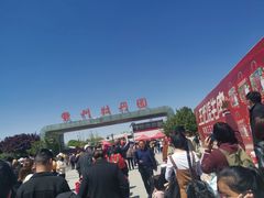 -曹州牡丹园