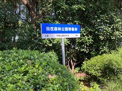 -昆山城市生态森林公园