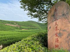 -龙坞茶村