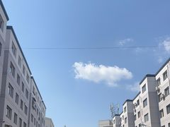 -杨老大焙子月饼干货(宽巷子民族美食街店)