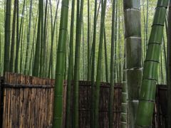 -陶祖圣境风景区